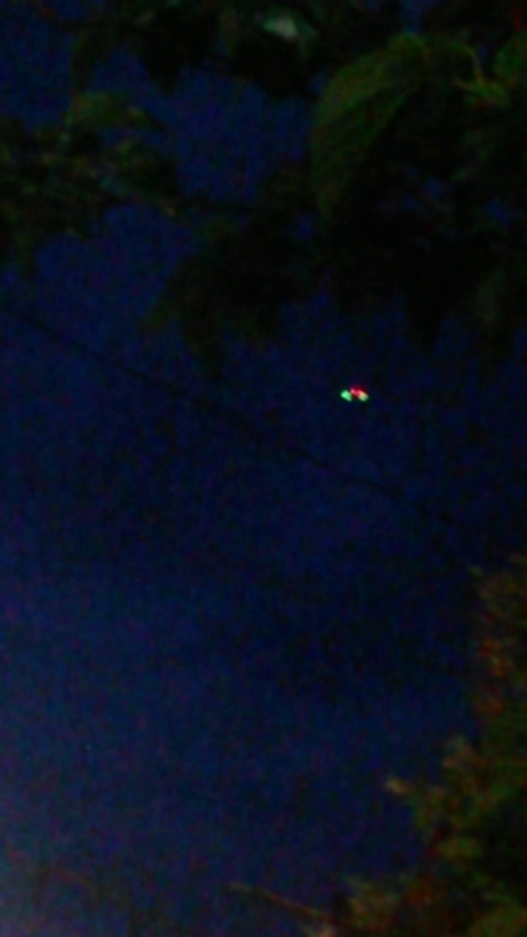 Obiectul a stat aproximativ cinci minute in apropieraea Palatului Parlamentului