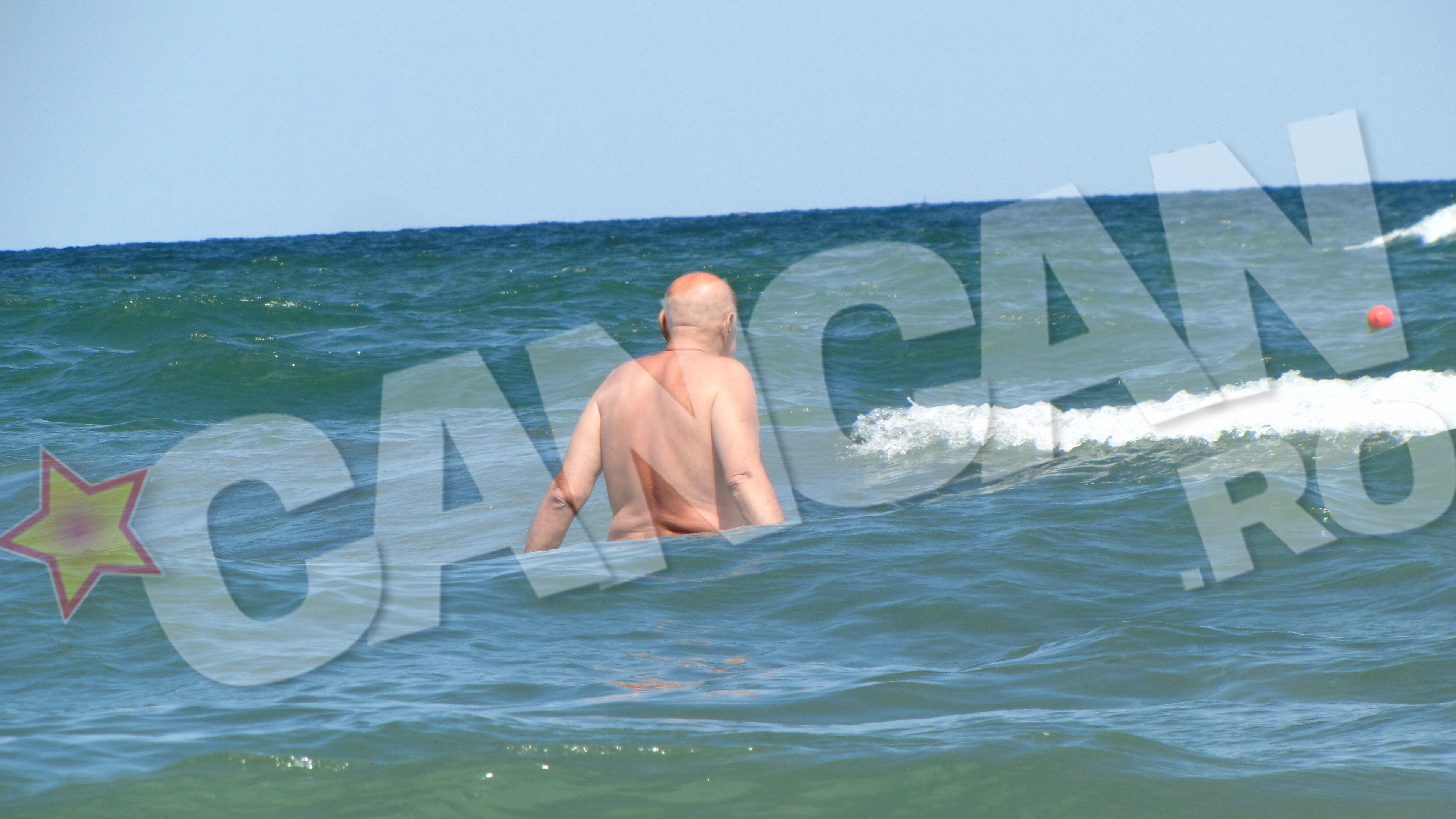 Lis cu ochii dupa domnisoare