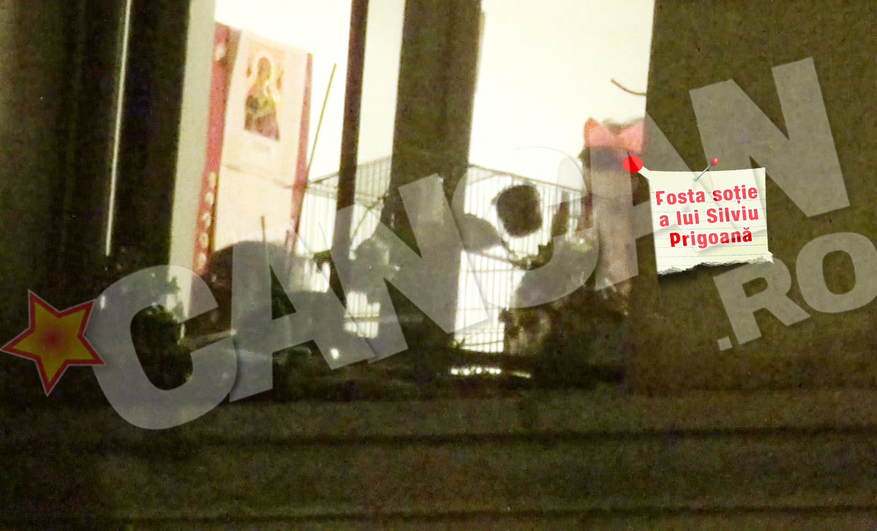 Fosta sotie a lui Prigoana, vizitata de un tinerel