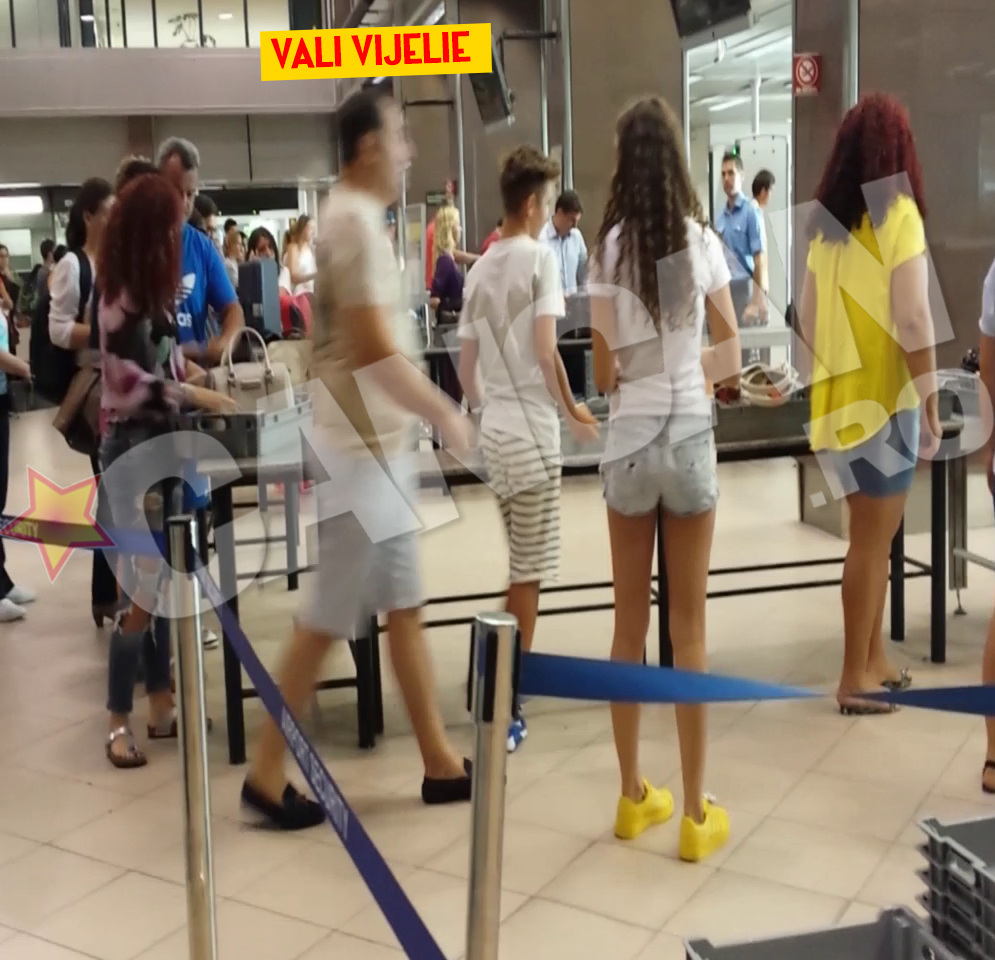 Vijelie s-a grabit sa treaca de controlul din aeroport