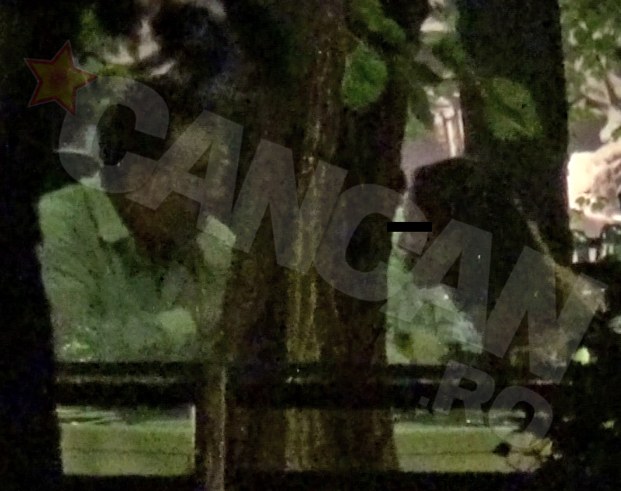 E limpede ca aveau multe de povestit