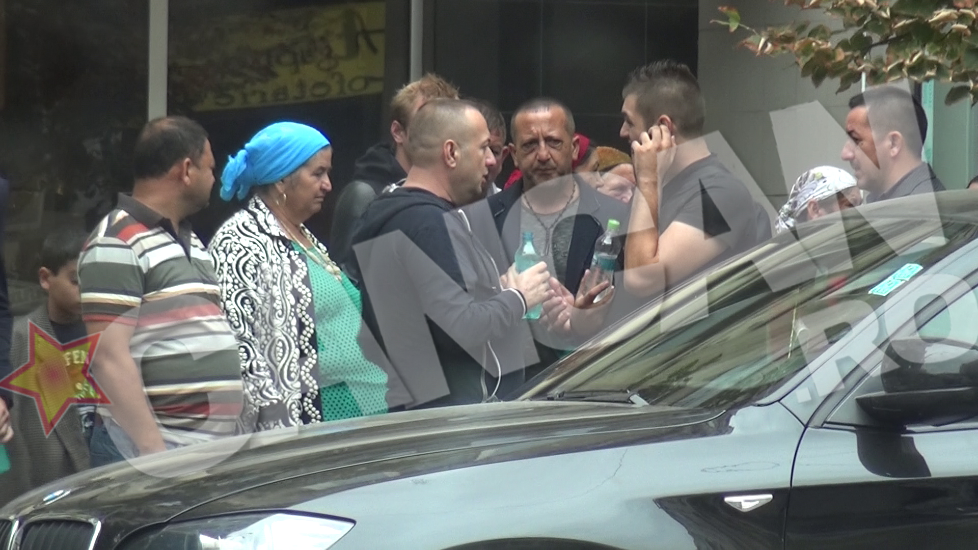 Leo este in continuare liderul satrei de la Strehaia