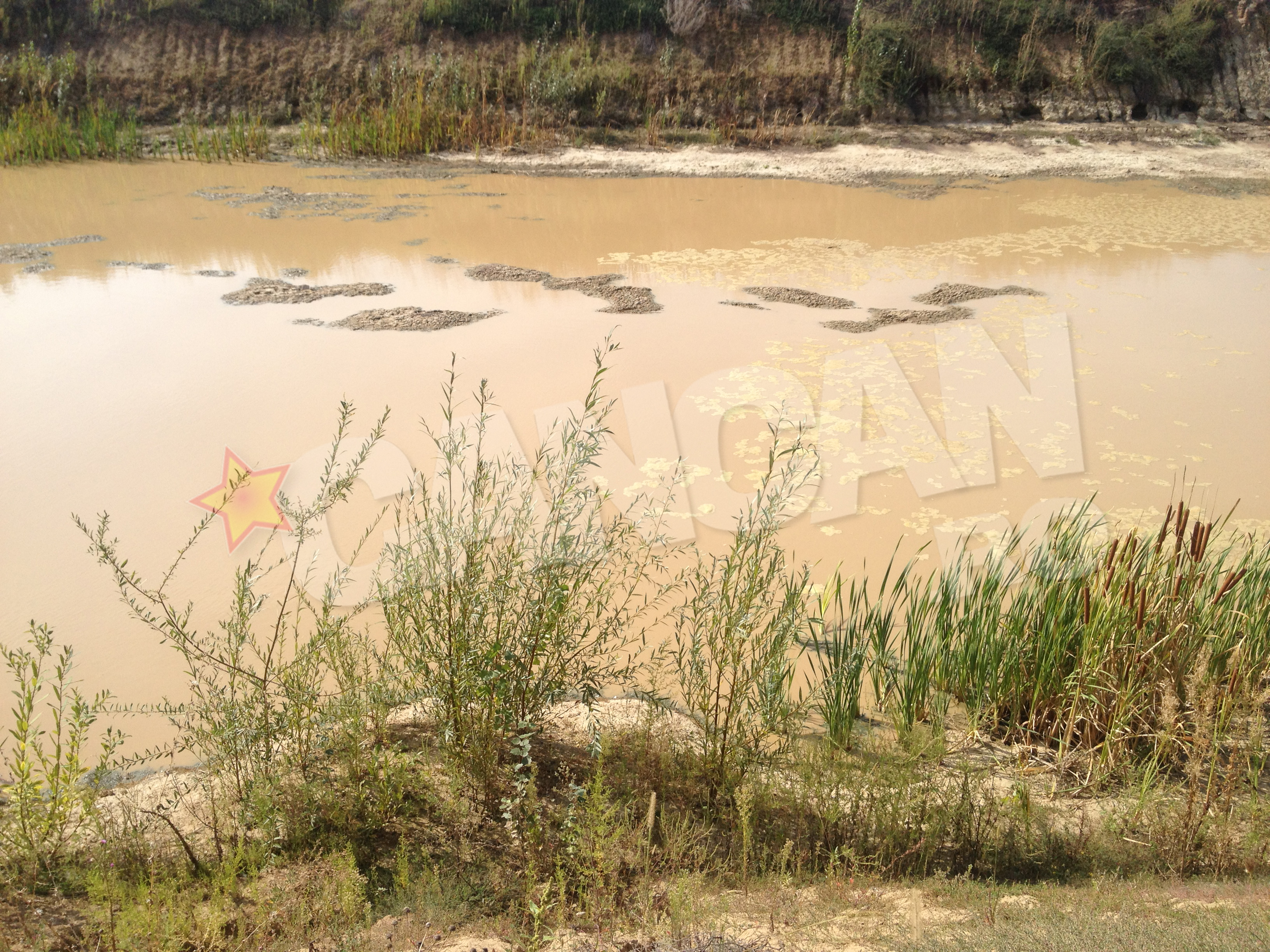 delta bucurestii noi