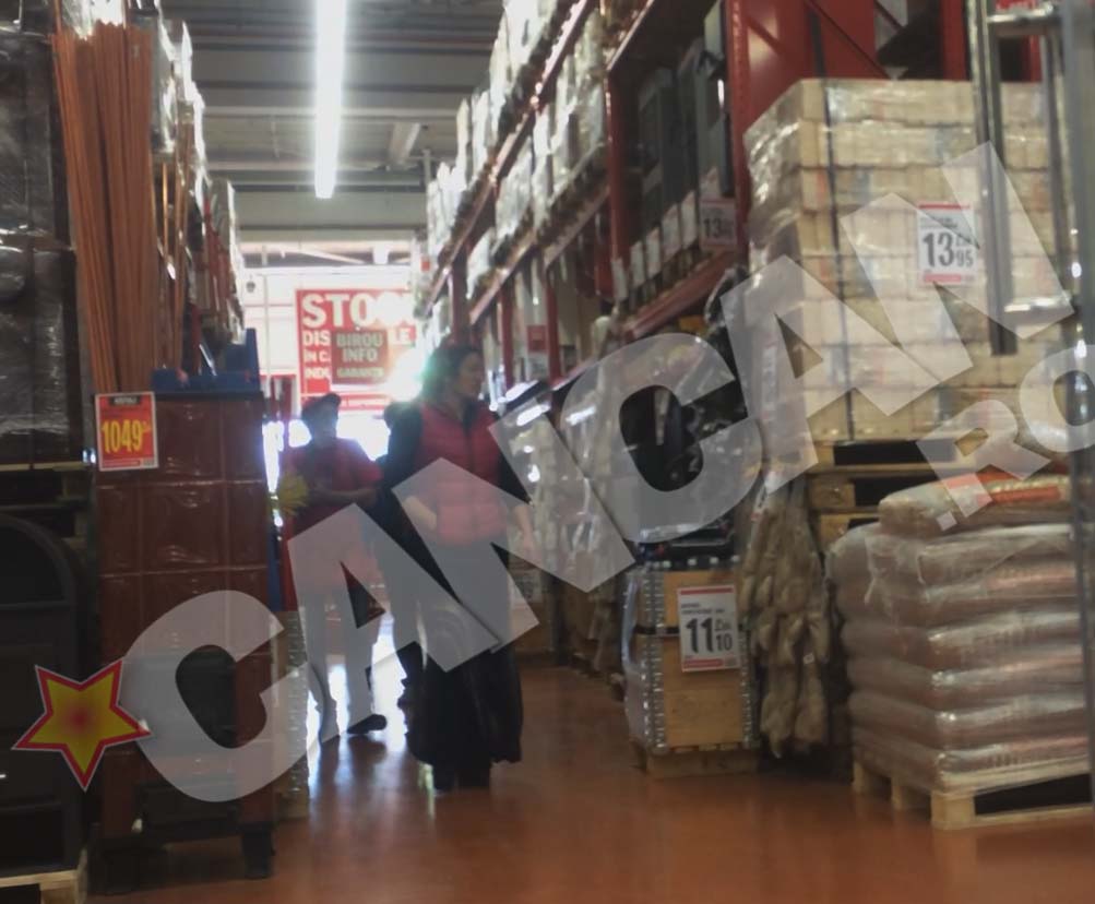 Anca se uita la modele de centrala