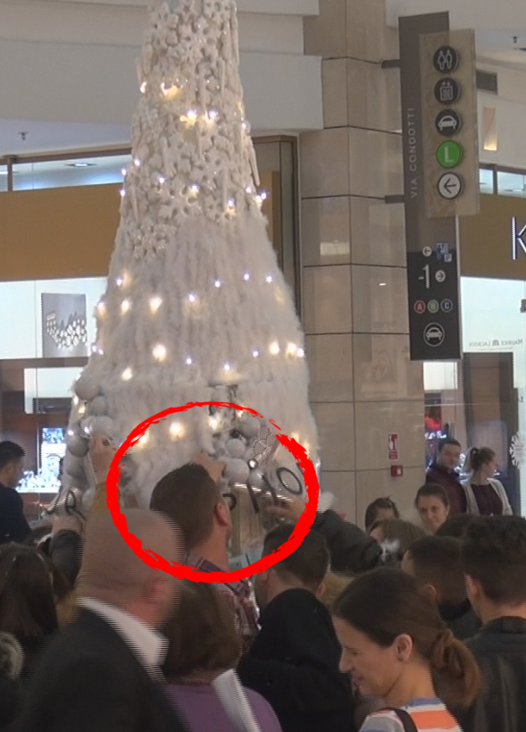 Au tras de brad fara sa tina cont de privirile atintite catre ei