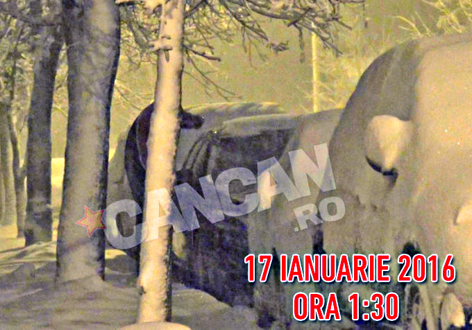 Soferul Elenei Udrea pregateste masina pentru plecare