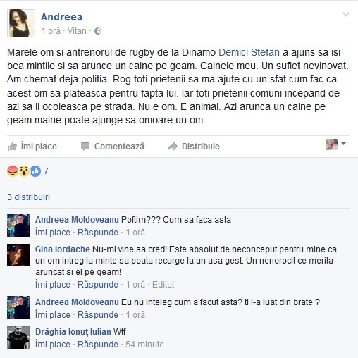 Mesajul prin care Andreea denunţă violenţele comise de Demici asupra unuia dintre căţeii ei