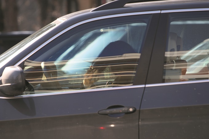 Andreea Marin îşi aranjează părul la volan