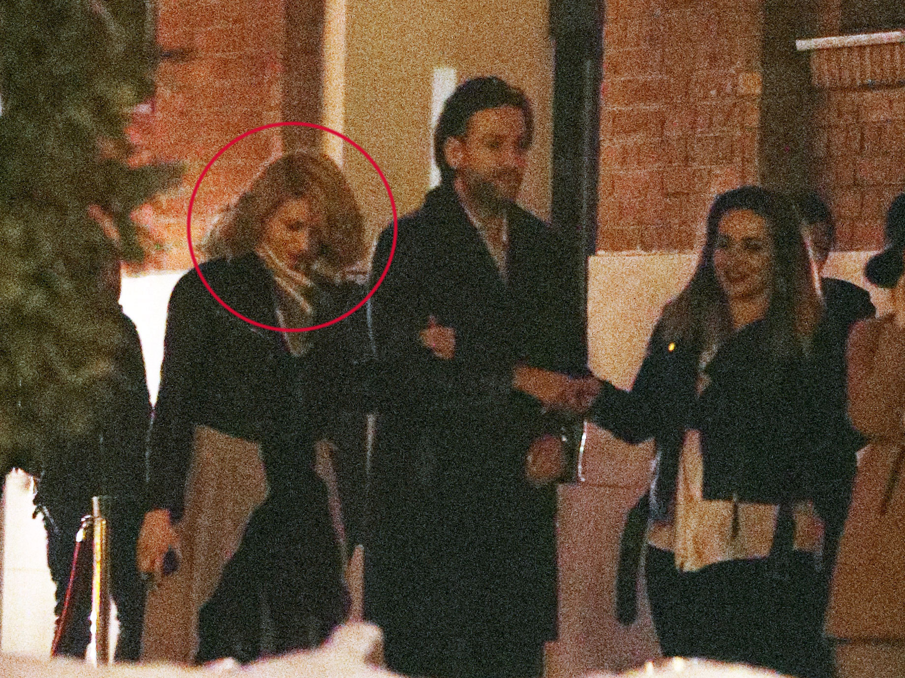 Muzicianul a condus-o până la urmă pe şatena din imagine