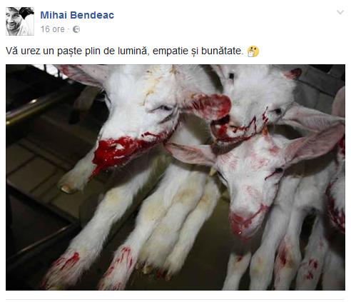 Mihai Bendeac este de părere că animalele nu ar trebui mâncate.
