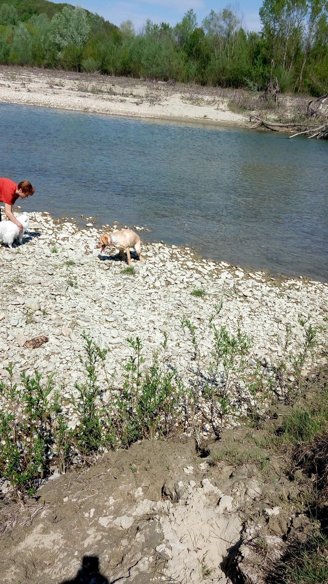 Mircea N. Stoian şi-a prezentat iubita prietenilor virtuali