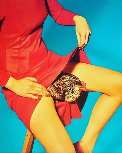 Iulia Albu s-a pozat cu găina sub rochie.