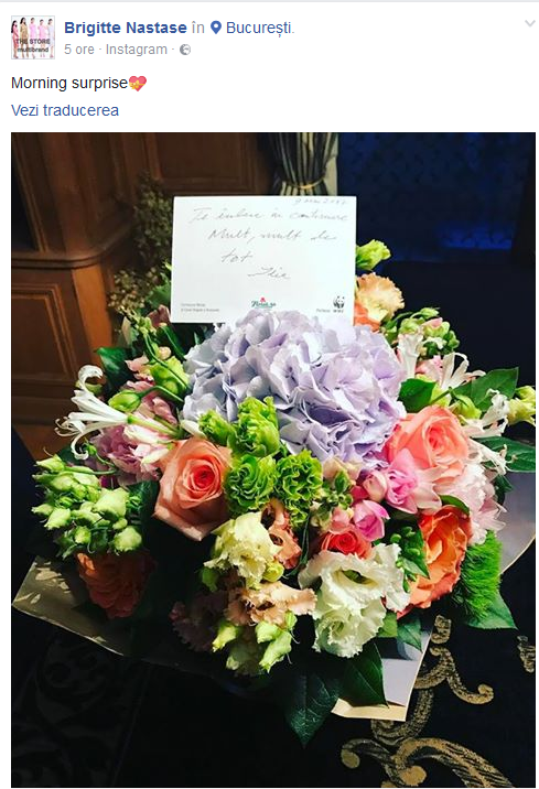 Ilie Năstase a surprins-o pe Brigitte cu un buchet imens de flori şi o frumoasă declaraţie de dragoste