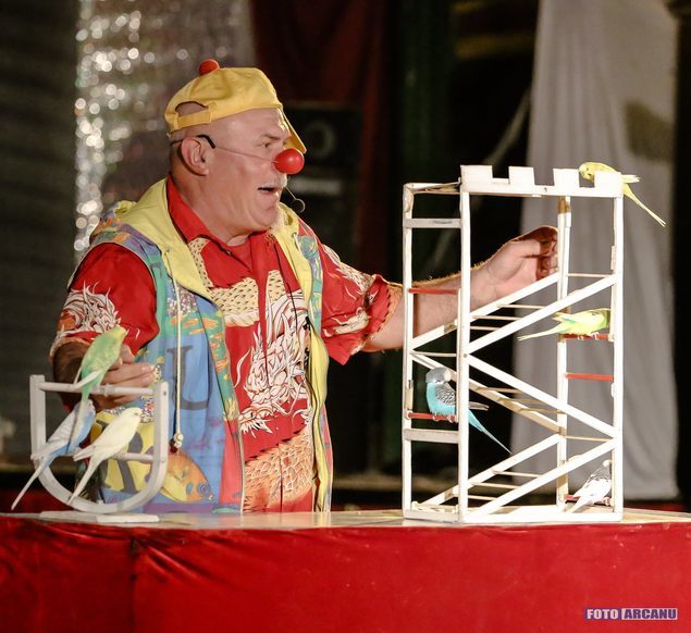 Mihail este acum în locul Piticului Colorado.