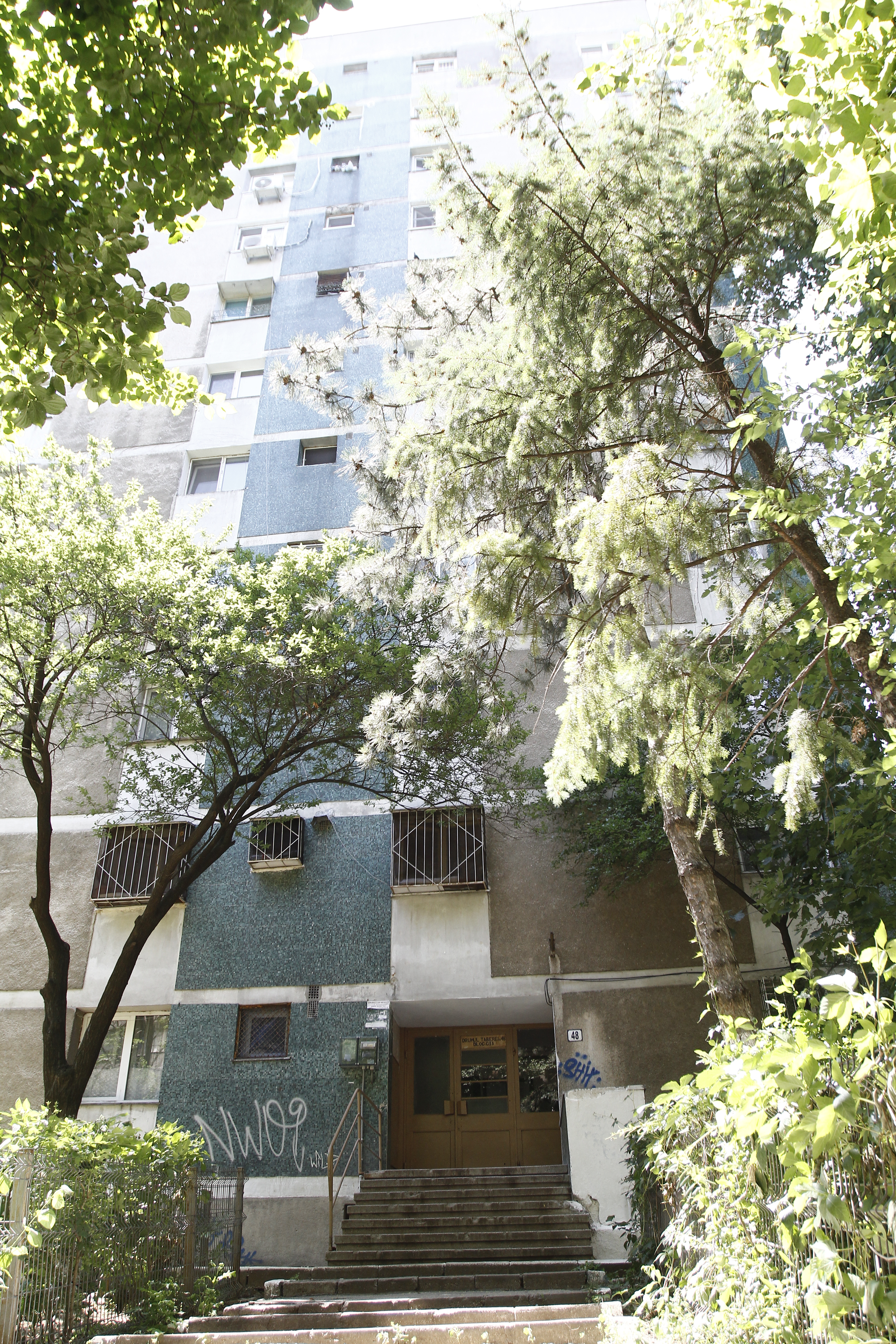 Moştenitorii lui Gheorghe Ştefănescu 