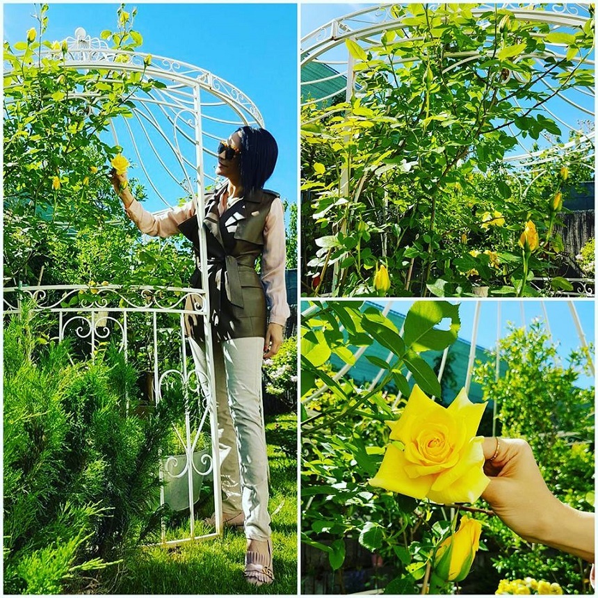 Andreea Marin este foarte mândră de trandafirii din propria grădină