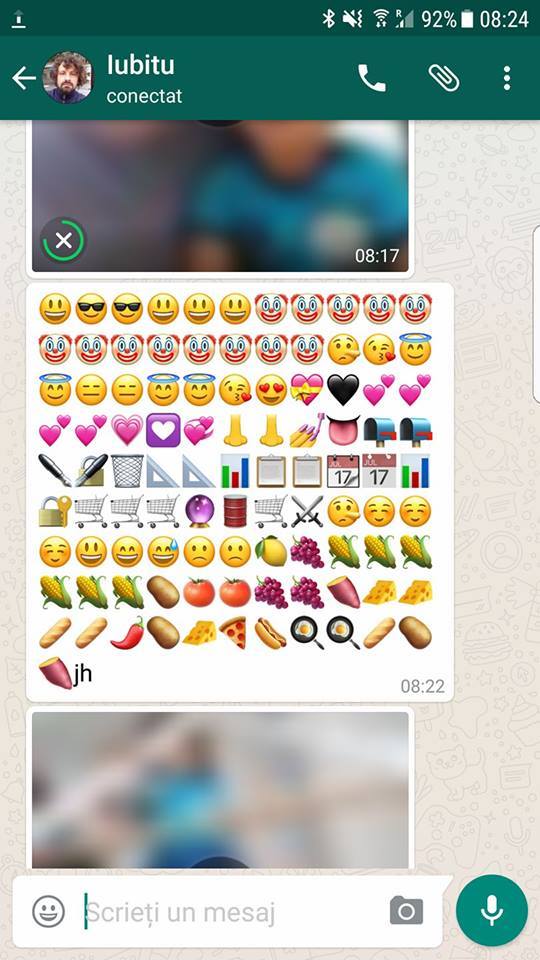 Acesta este mesajul primit de Dana Rogoz de la fiul ei