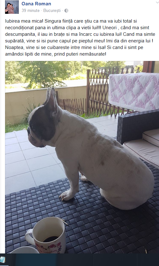 Oana Roman, declaraţie de dragoste pentru unul dintre căţeii familiei