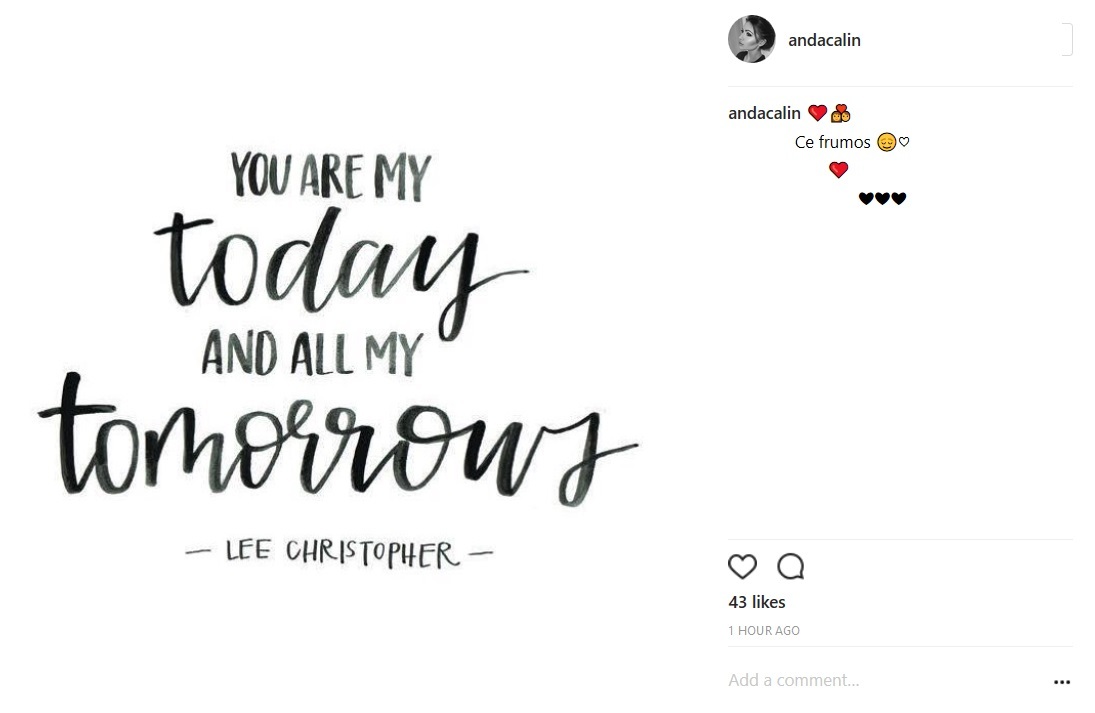 Anda Călin, declaraţie de dragoste pentru Liviu Vârciu