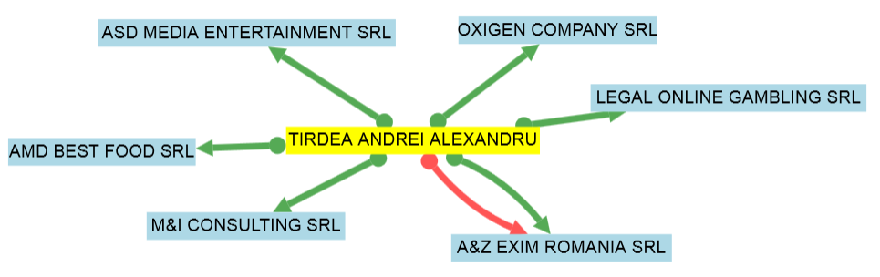 Acestea sunt firmele deţinute de Târdea, potrivit termene.ro