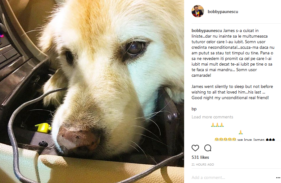 Bobby Păunescu suferă cumplit după căţelul care s-a stins din viaţă