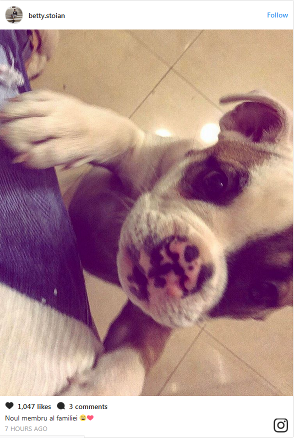 Betty Salam a prezentat prietenilor noul membru al familiei