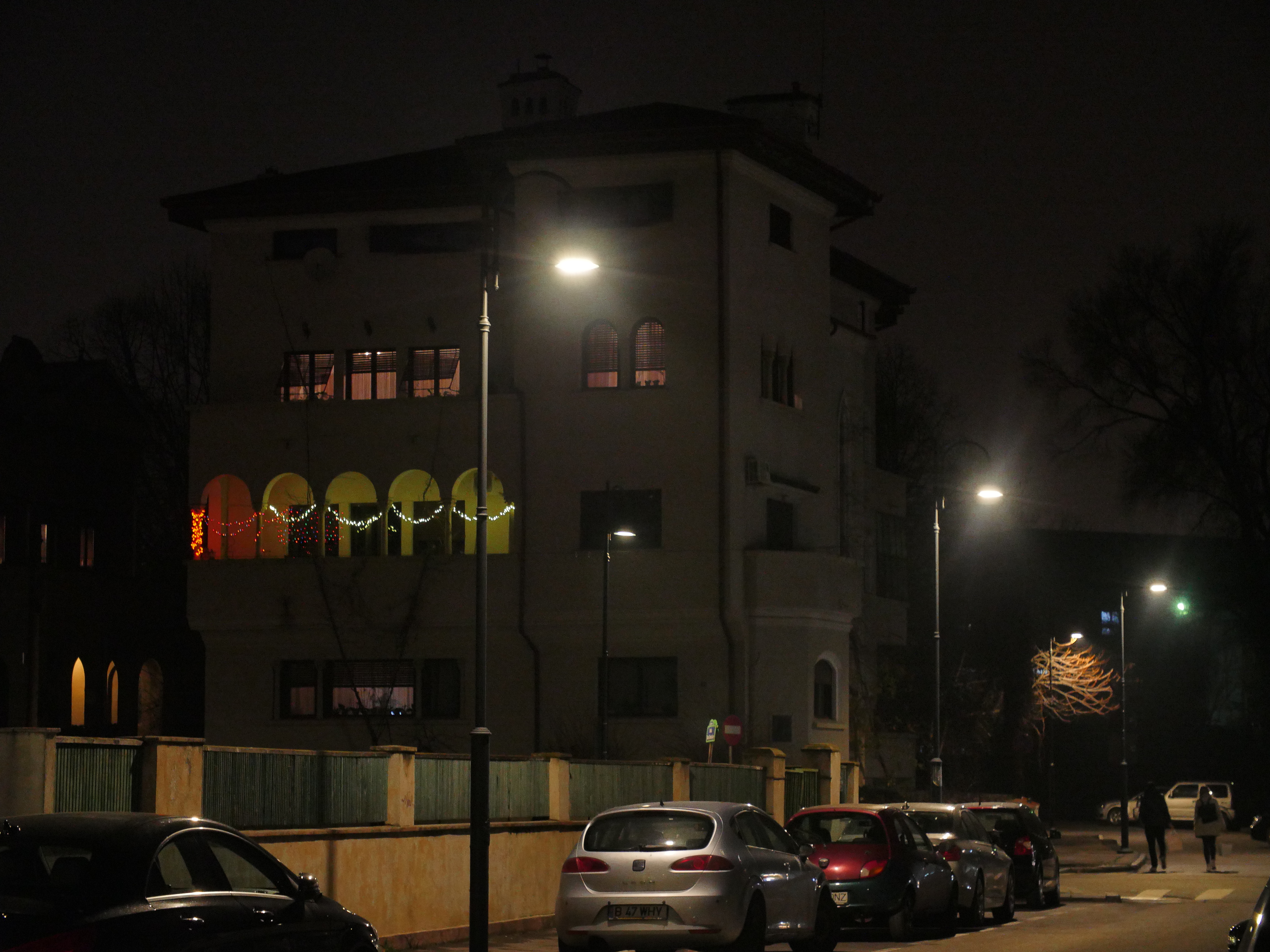 Dana Nicolaescu nu a făcut exces de decoraţiuni