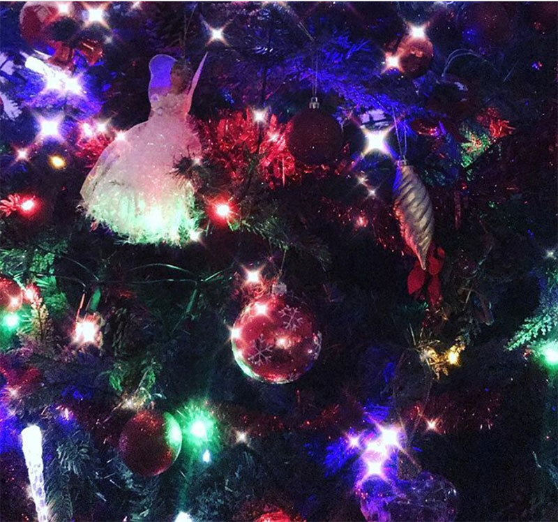 Gina Pistol a împodobit bradul cu foarte mult bun gust