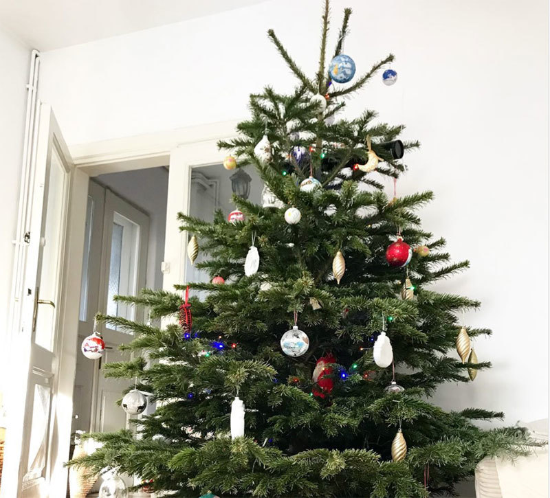 Laura Cosoi a optat pentru un pom de Crăciun înalt