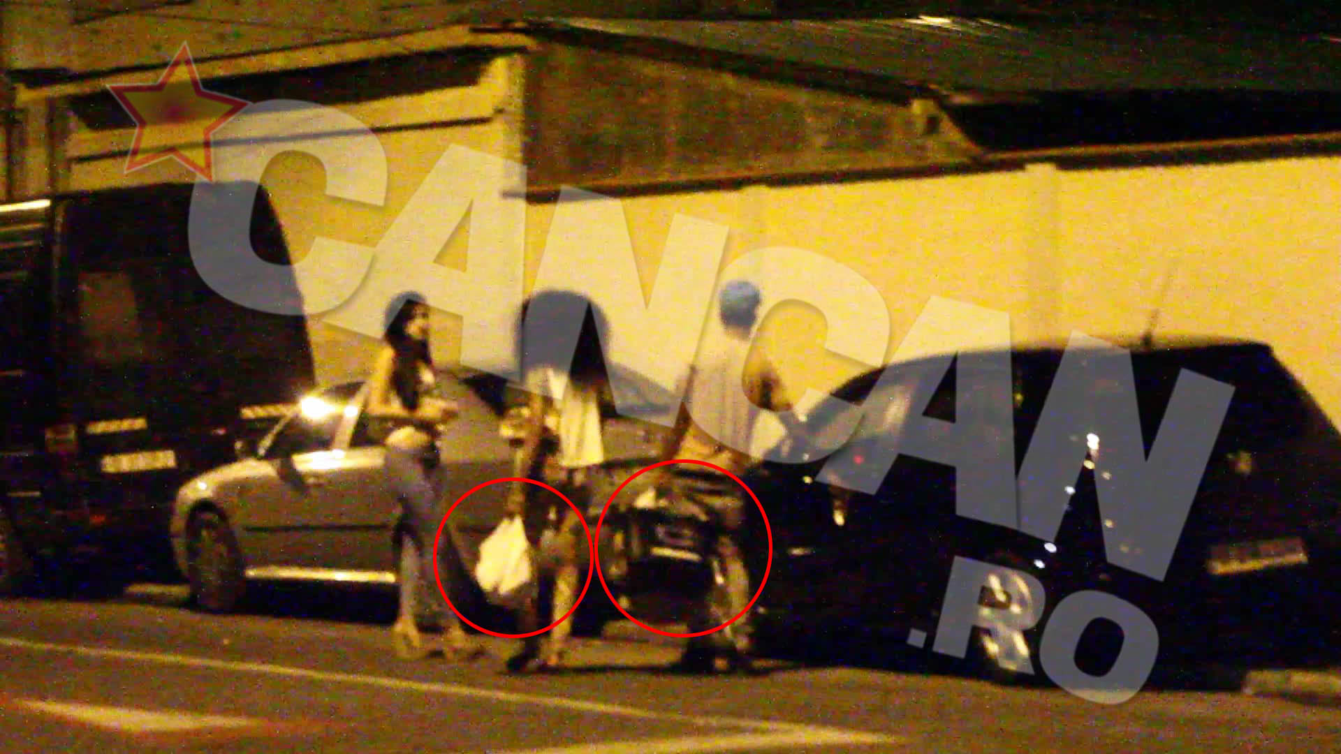 In momentul in care s-a retras in casa fratelui ei, in care, se pare, locuieste mai nou, Ana a avut grija sa umple frigiderul