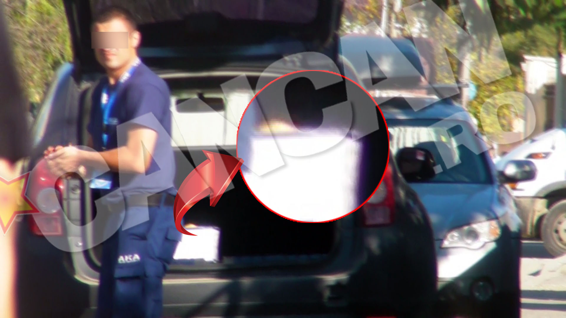 Agentul a pus toate fructele furate intr-o ladita, in portbagaj