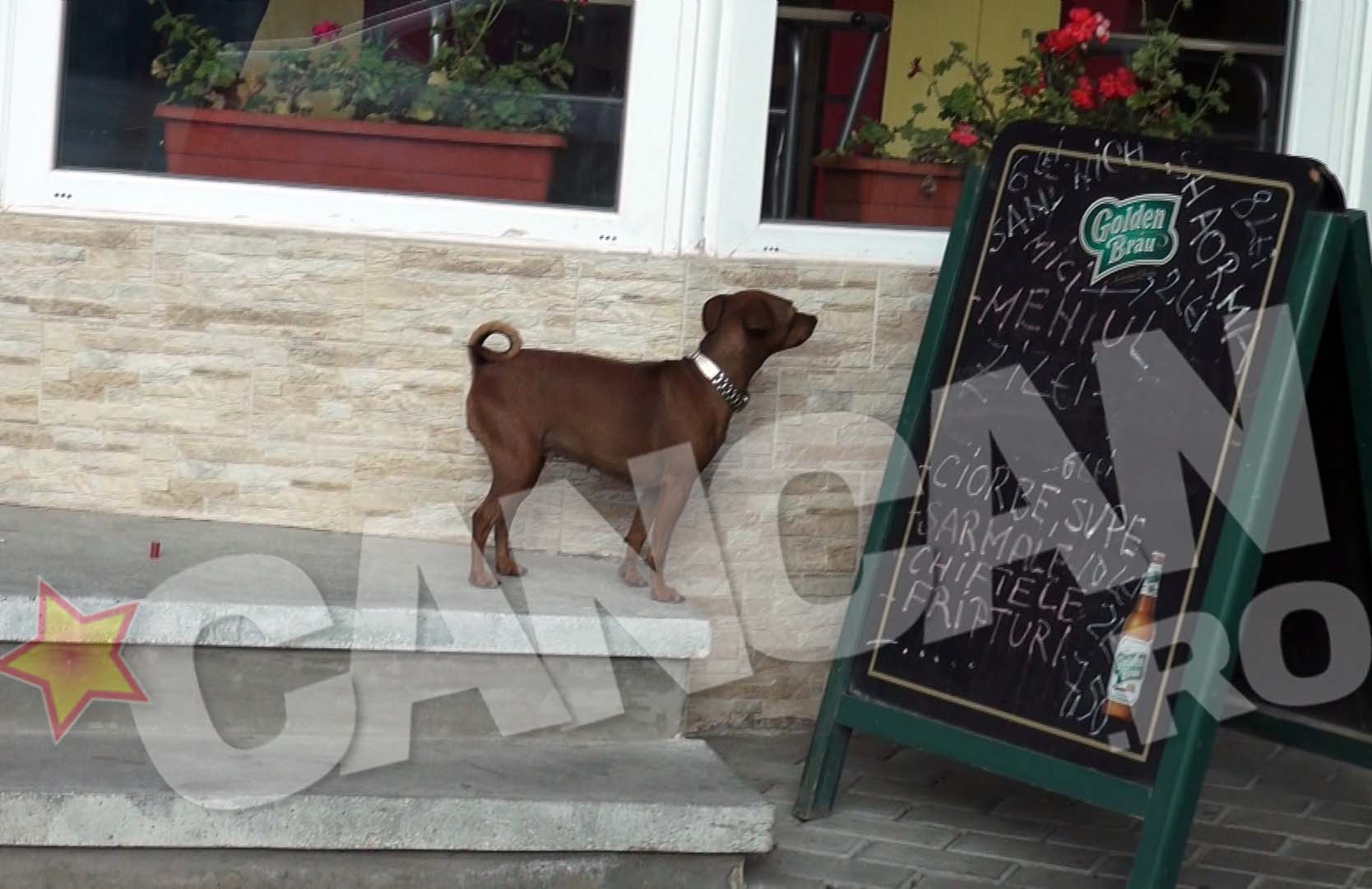 Dupa ce s-a plimbat prin oras cu ceasul la gat, s-a oprit sa 