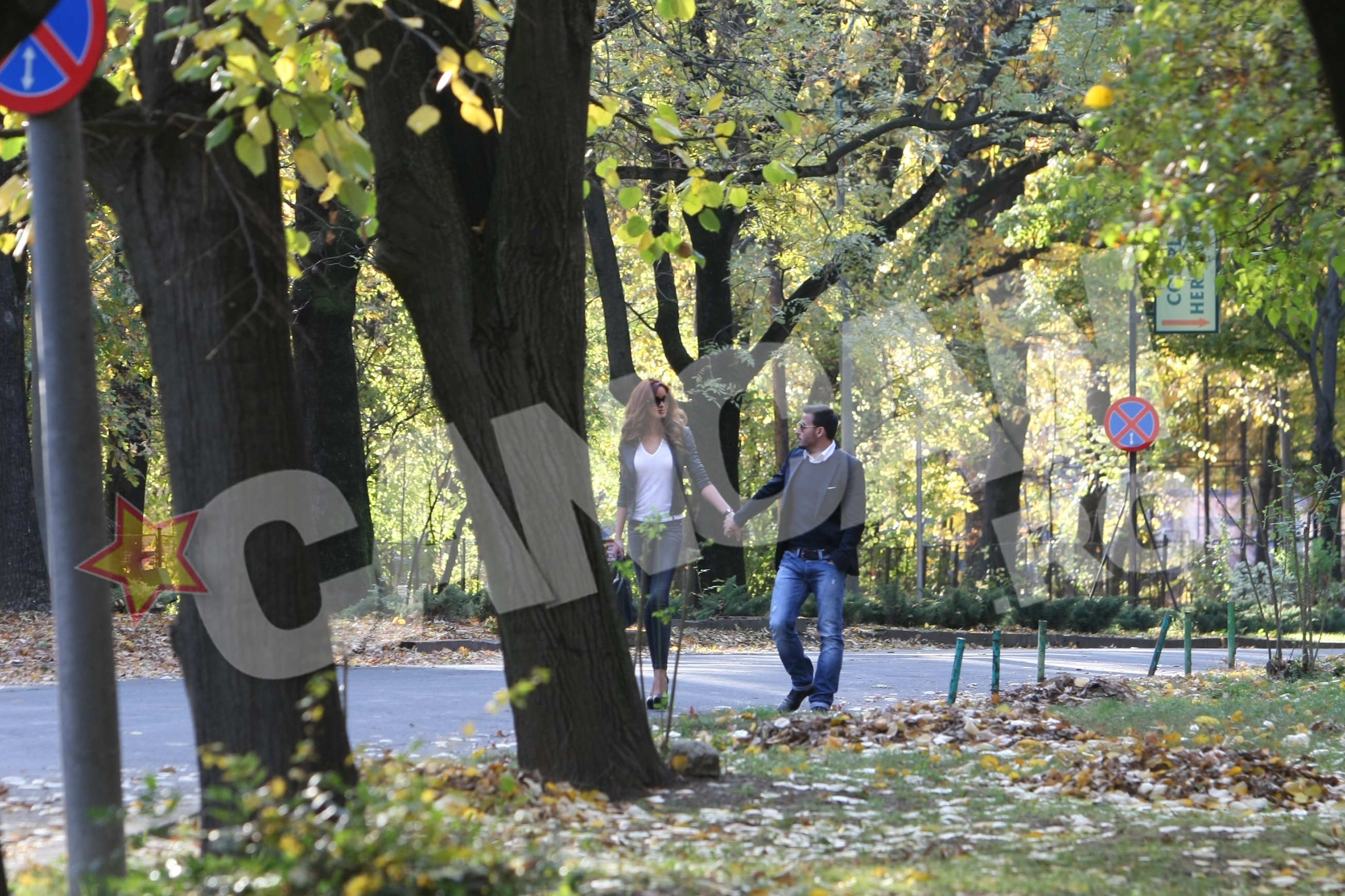 Cei doi s-au plimbat de mana privindu-se cu dragoste