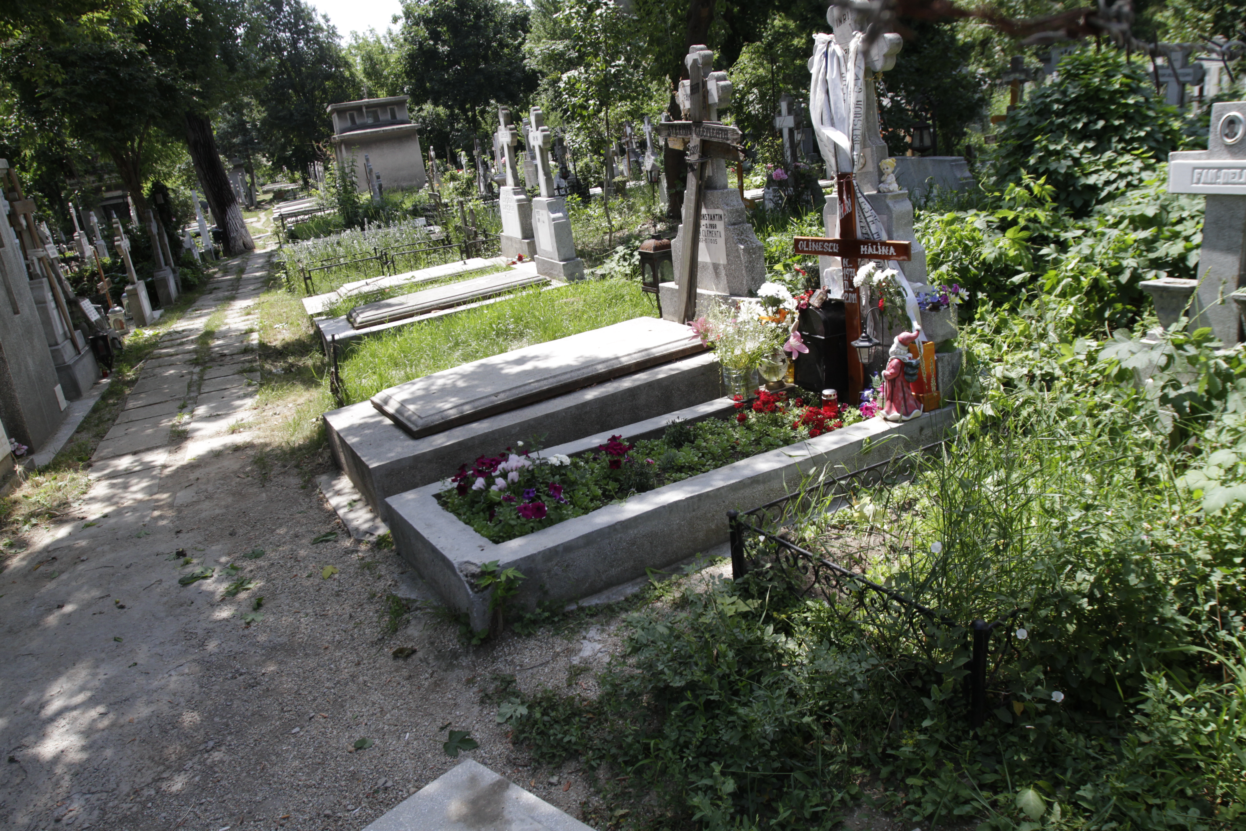 Peste cateva zile, se va implini un an de la disparitia tragica a Malinei Olinescu