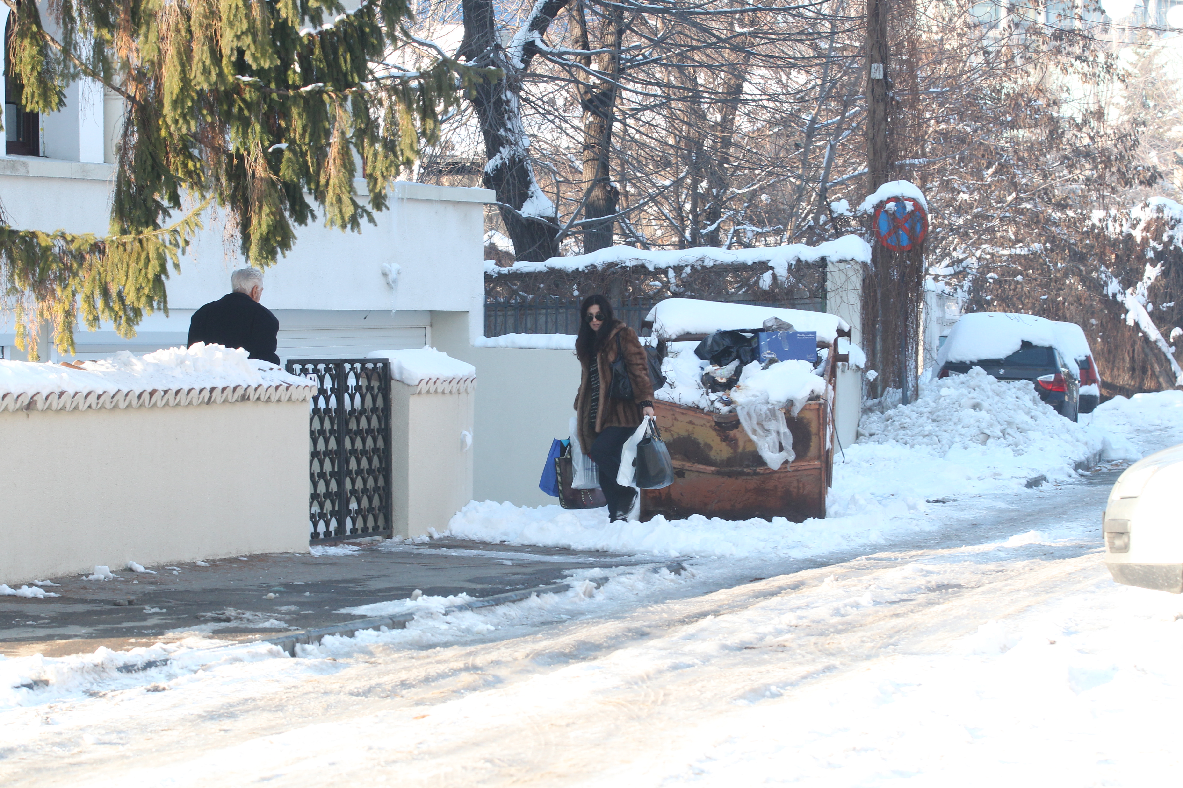 Sergiu Nicolaescu si sotia, intr-unul dintre rarele momente in care au aparut impreuna