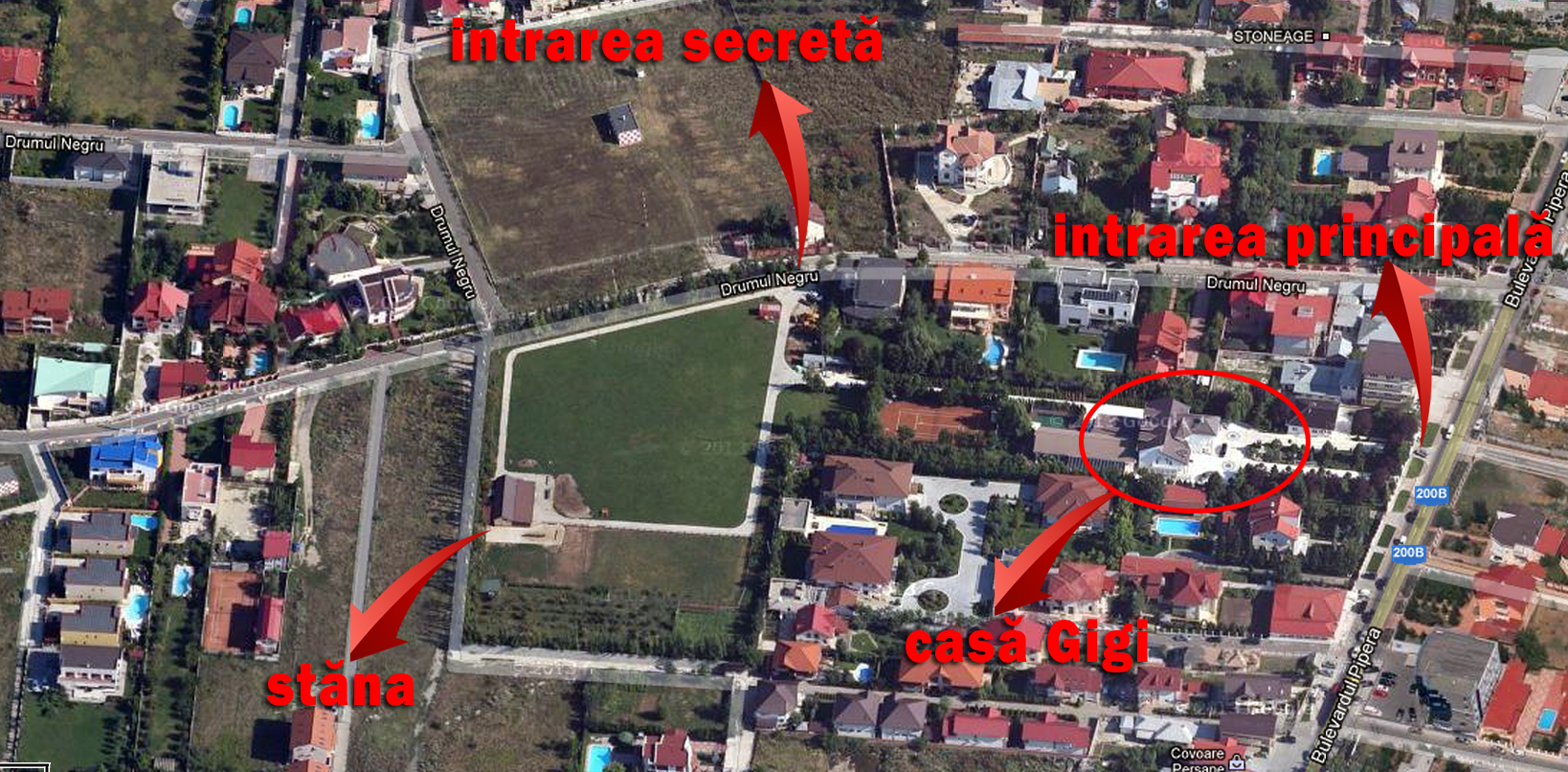 Gigi Becali a fugit de acasa pe Drumul Negru