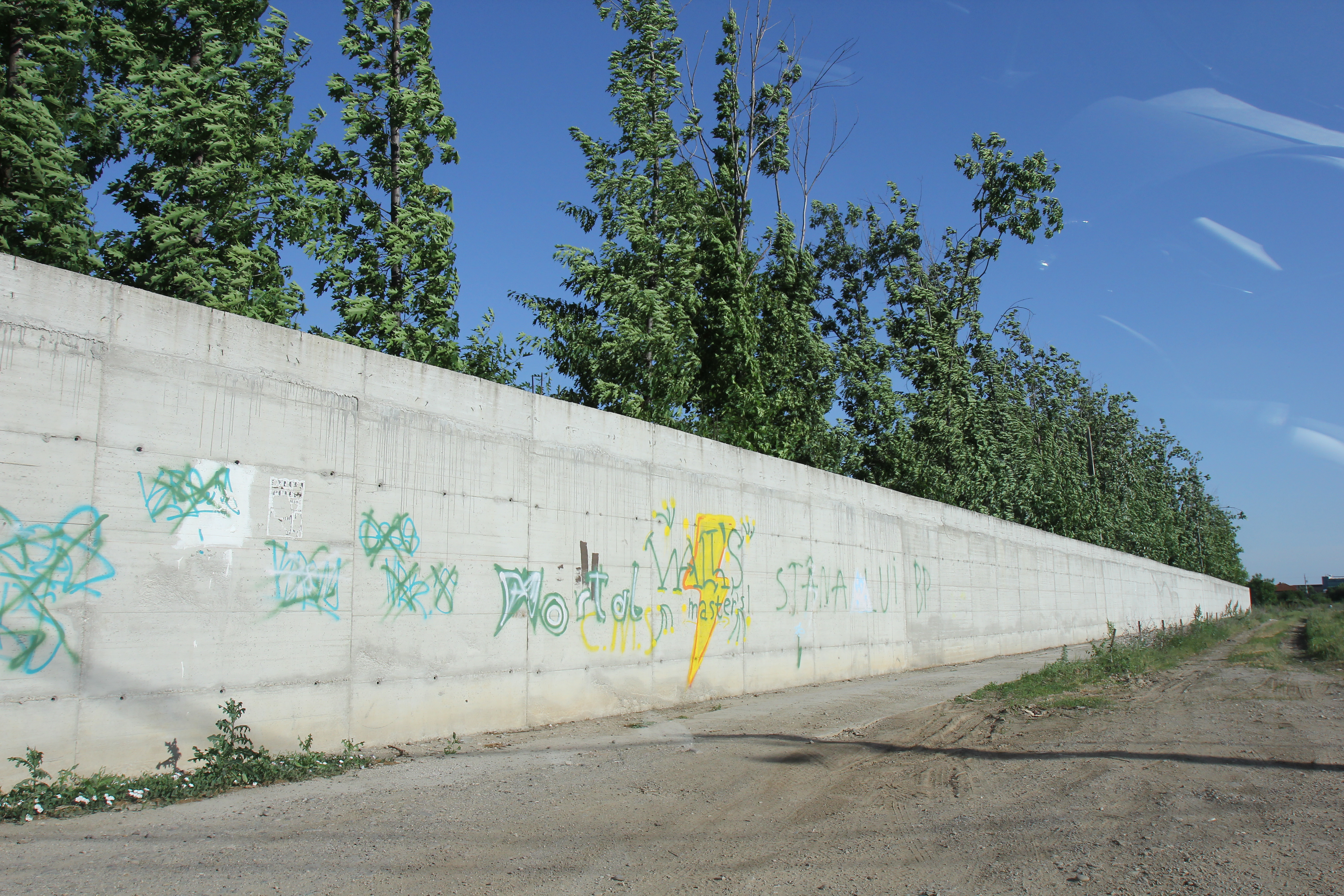 Tinerii au avut o sesiune de doodling fara stil pe gardul latifundiarului