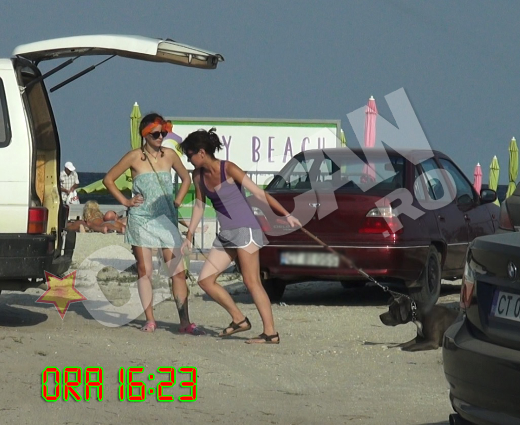 Patrupedul pur si simplu nu vrea sa se urce in masina