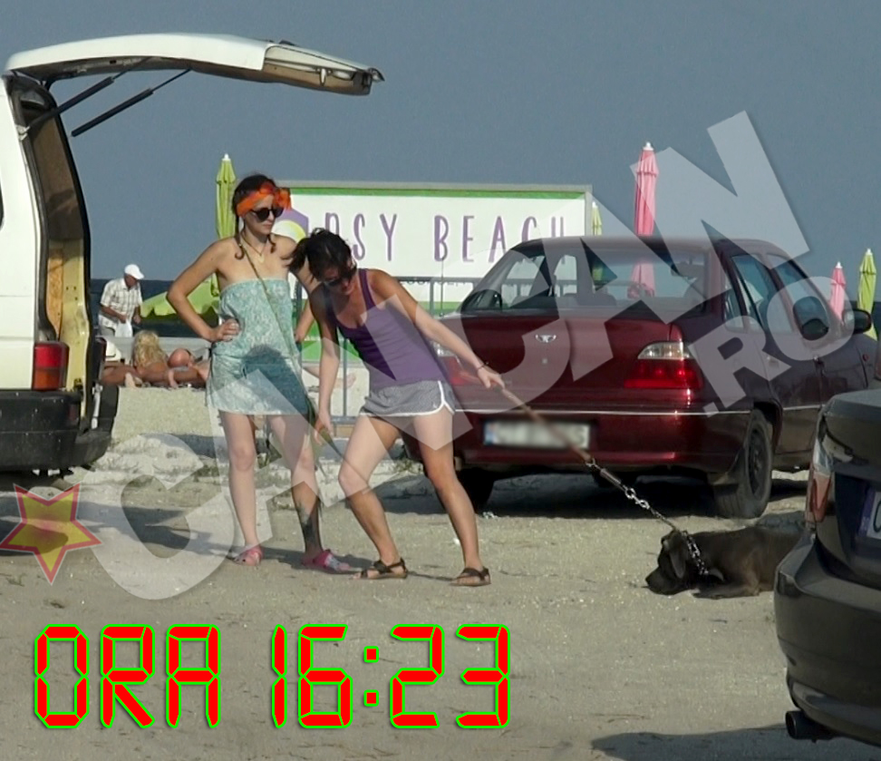 Pana la urma stapana a trebuit sa se intoarca cu el pe plaja