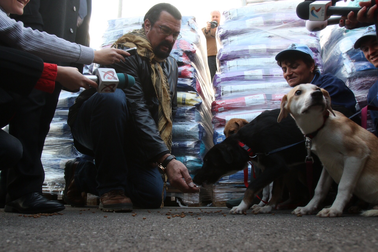 Steven Seagal a adoptat un catel fara stapan din Romania