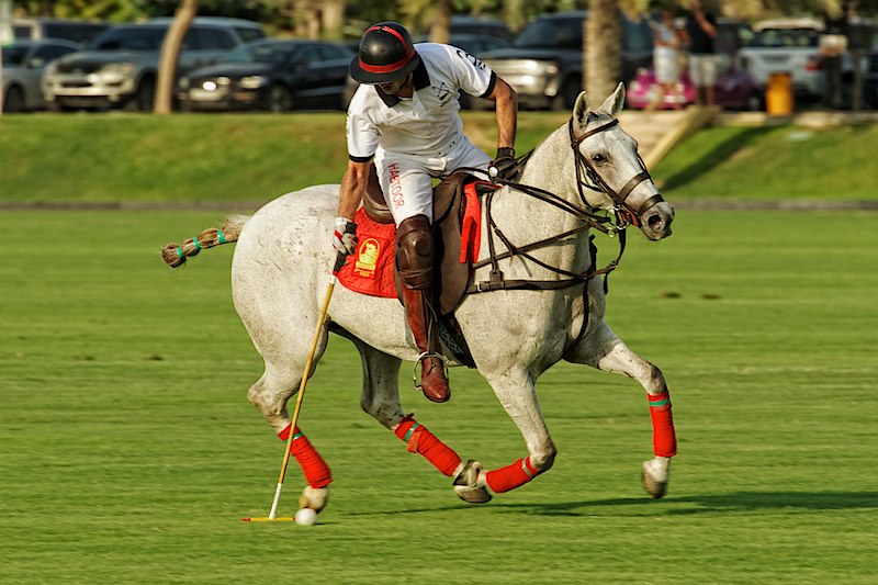 Printul Al Habtoor este un mare iubitor de polo calare