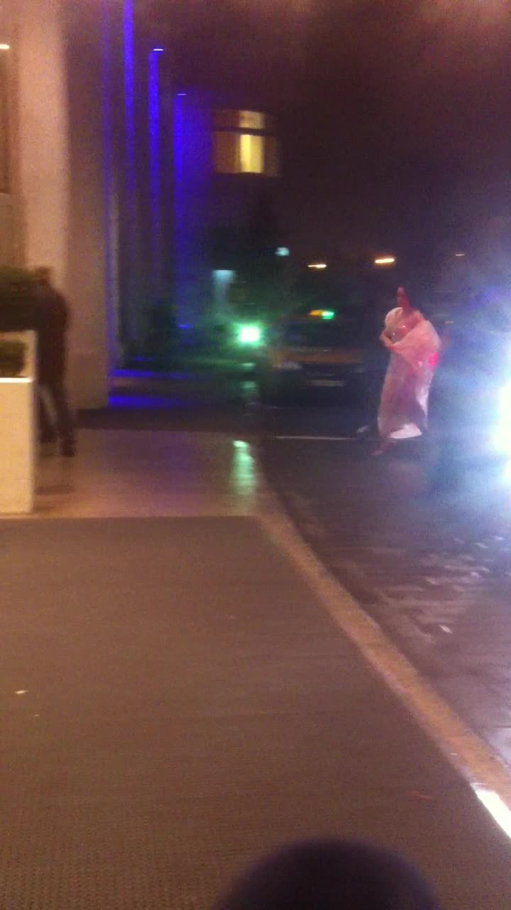 Andreea i-a predat valetului masina si a rupt-o la fuga catre hotel