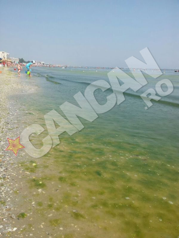 Turisti plaja Mamaia