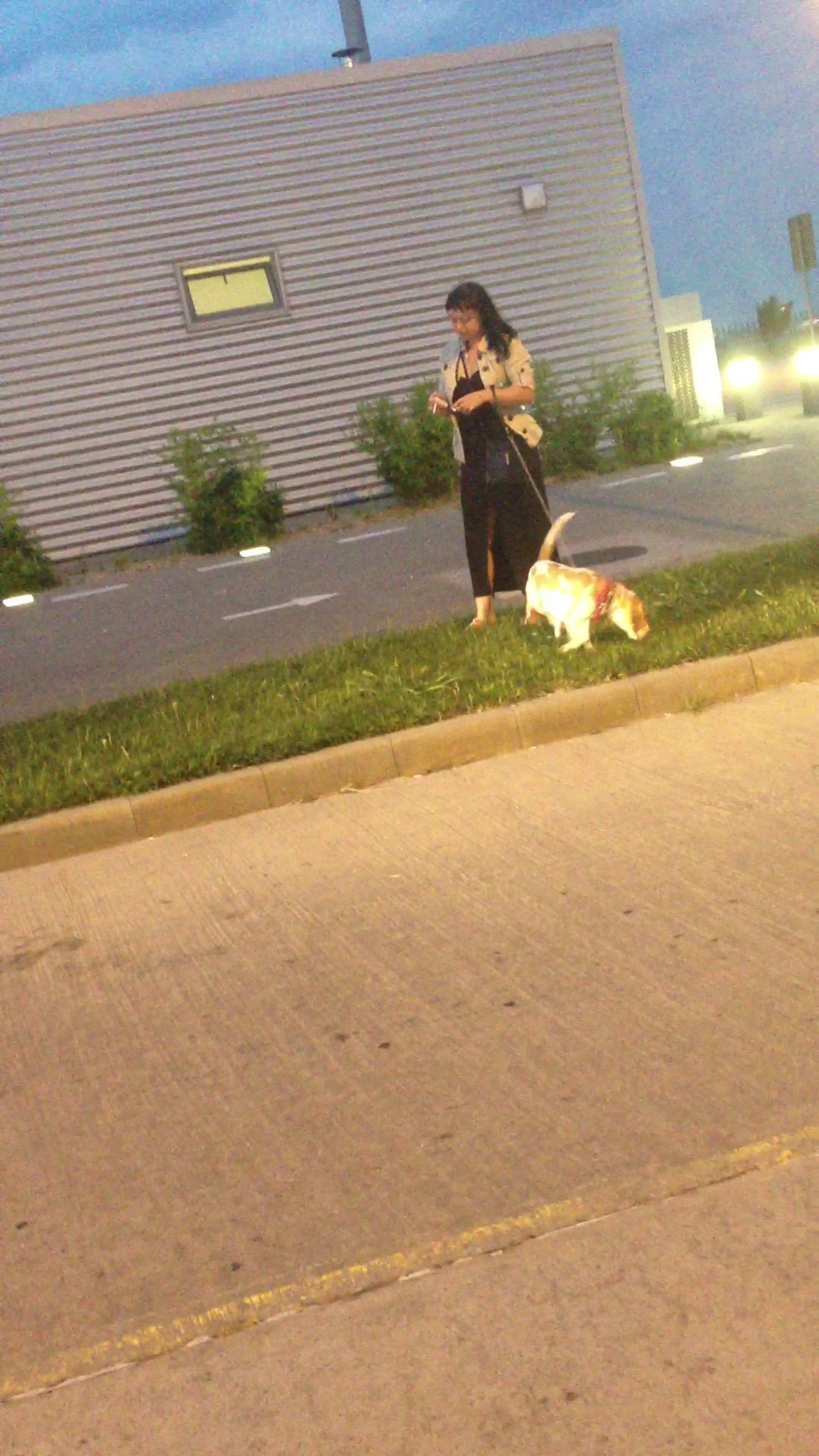 Actrita a oprit la benzinarie pentru a-si plimba cainele