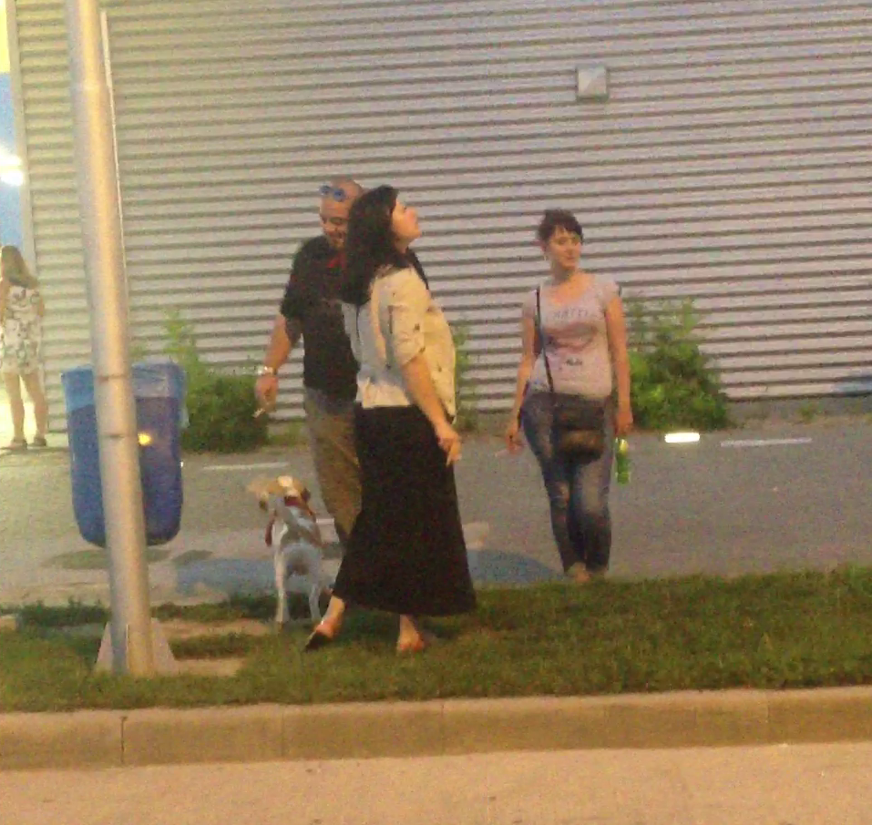 Cat timp patrupedul isi face nevoile, Andreea trage dintr-o tigara