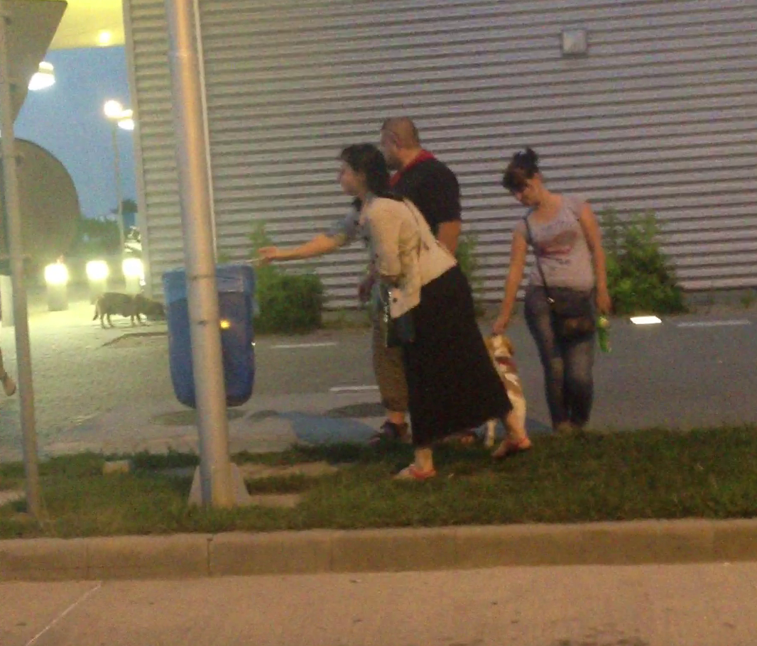 Bine crescuta, actrita nu arunca scrumul pe jos ci in cosul de gunoi