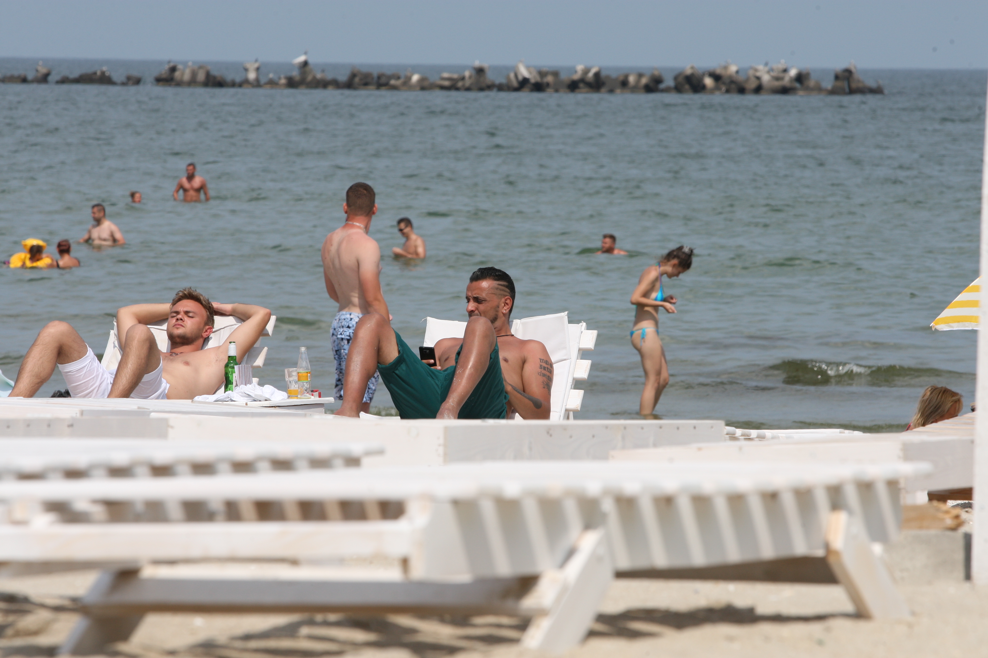 Cantaretul a iesit singur pe plaja, insa nu se desparte de telefonul mobil