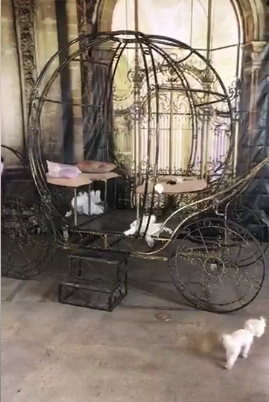 Bianca Drăguşanu a ales decoraţiunile pentru petrecerea de botez a fiicei ei