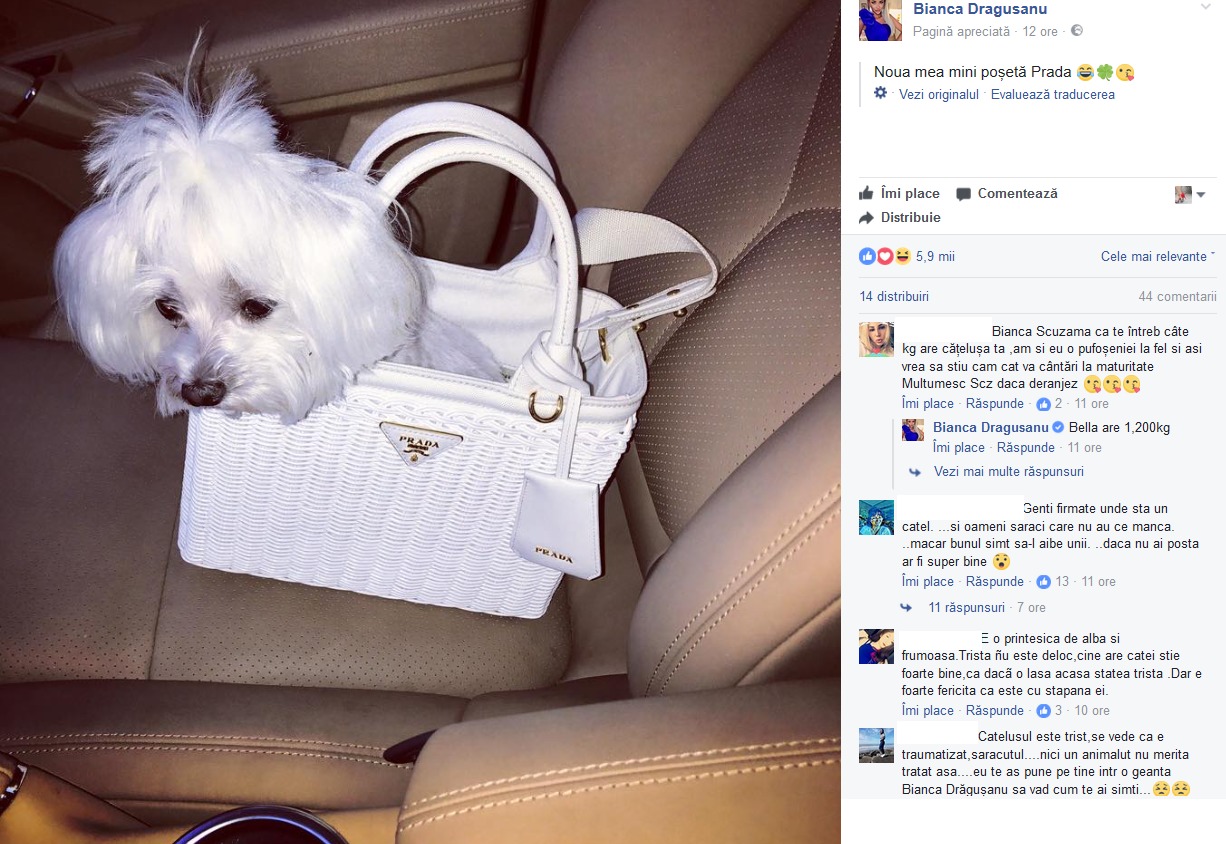 Bianca Drăguşanu a dat 1.200 de euro pe o geantă
