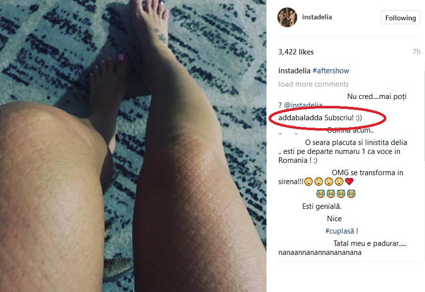 Delia le-a arătat fanilor că a fi artist nu înseamnă numai distracţie şi că implică şi foarte multă muncă